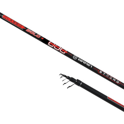 Вудка болонська Brain Classic Strong Bolo 10-30г 4м