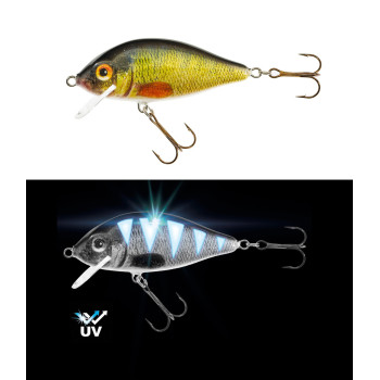 Воблер Jaxon HS Karas F 9см 17г 0,5-2,5м UV Ультрафіолет PG