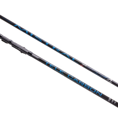 Вудка болонська RS Mistral IM9 10-30г 5м